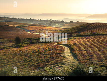 L'aube lumineuse au soleil paysage de montagne brumeuse au Pays de Galles sur l'Begwns près de Hay on Wye Banque D'Images