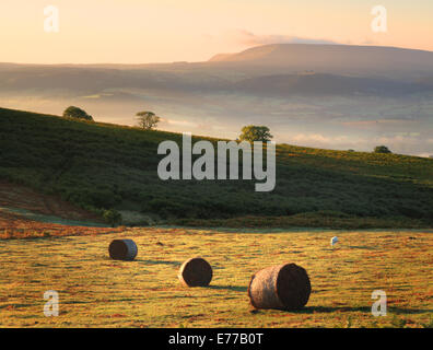 La lumière du soleil du matin sur les balles sur le gallois commonland avec vues misty, et Hay Bluff et de la Montagne Noire dans la distance Banque D'Images