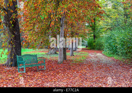 Banc solitaire sur le sol recouvert de feuilles d'automne rouge tombé dans le parc de Racconigi, Italie. Banque D'Images
