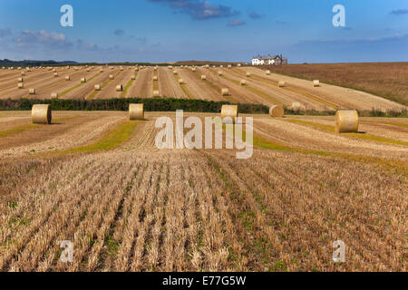 Paysage de la récolte avec des bottes de paille à Norfolk Weybourne Banque D'Images