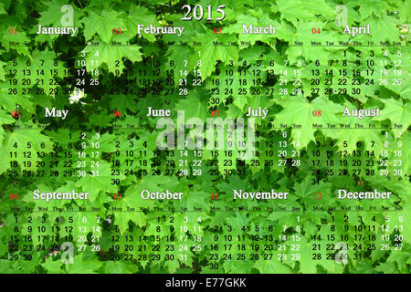 Calendrier pour 2014 - 2017 ans sur les feuilles vertes du fond de l'érable Banque D'Images