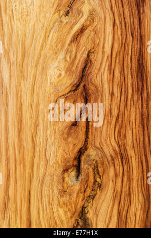 Weathered Wood grain d'un arbre de pin alpin Banque D'Images