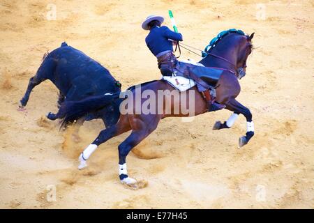 Corrida, Jerez de la Frontera, province de Cadiz, Andalousie, Espagne, Europe du Sud Ouest Banque D'Images