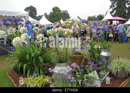 Jardin Wisley RHS Flower Show, 2ème-7ème septembre 2014, Surrey, Angleterre, Grande-Bretagne, Royaume-Uni, UK, Europe Banque D'Images