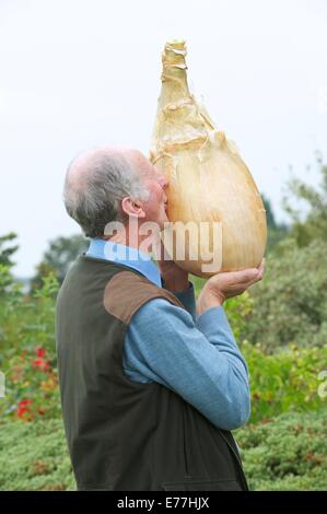 Harrogate, Yorkshire, UK. 8 Septembre, 2014. Harrogate Automne Show Peter Glazebrook détenteur du record mondial pour la plus lourde jamais d'oignons cultivés à 18lb 1/2 oz. Credit : Keith Foster/Alamy Live News Banque D'Images