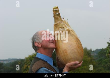 Harrogate, Yorkshire, UK. 8 Septembre, 2014. Harrogate Automne Show Peter Glazebrook détenteur du record mondial pour la plus lourde jamais d'oignons cultivés à 18lb 1/2 oz. Credit : Keith Foster/Alamy Live News Banque D'Images