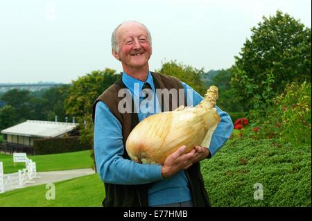 Harrogate, Yorkshire, UK. 8 Septembre, 2014. Harrogate Automne Show Peter Glazebrook détenteur du record mondial pour la plus lourde jamais d'oignons cultivés à 18lb 1/2 oz. Credit : Keith Foster/Alamy Live News Banque D'Images