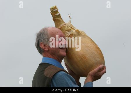 Harrogate, Yorkshire, UK. 8 Septembre, 2014. Harrogate Automne Show Peter Glazebrook détenteur du record mondial pour la plus lourde jamais d'oignons cultivés à 18lb 1/2 oz. Credit : Keith Foster/Alamy Live News Banque D'Images