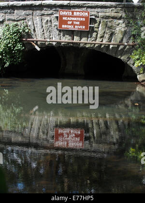 Davis Brook à la source de la Bronx River dans la région de Valhalla, New York, USA, 8 septembre 2014, © Katharine Andriotis Banque D'Images