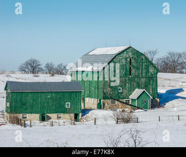 Une vert deux granges dans un champ couvert de neige et un ciel bleu. Banque D'Images