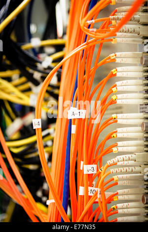 Câbles fibre branché sur une machine routeur haut de gamme à un centre de données informatiques soutenant le cloud computing Banque D'Images