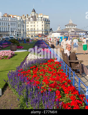 Fleurs sur front de mer d'Eastbourne UK Banque D'Images