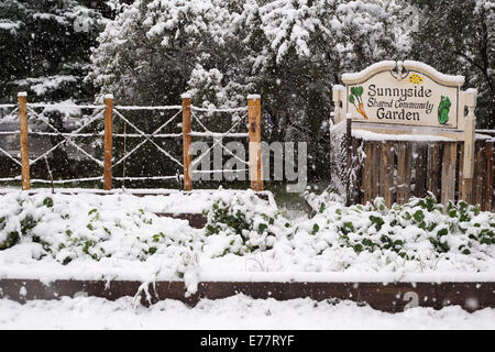 Calgary, Alberta, Canada, 8 sept, 2014. La première neige de la saison met un terme à l'été, avec Environnement Canada prévoir 5 à 10 centimètres d'aujourd'hui. Les Calgariens hier apprécié 25 degré C Temps. Credit : Rosanne Tackaberry/Alamy Live News Banque D'Images