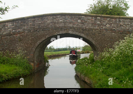 15-04 traditionnel sur Trent et Mersey Canal passant sous de vieux pont voûté et bordée de fleurs sauvages par virement bancaire Banque D'Images