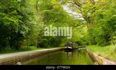 15-04 traditionnels sur des eaux calmes du canal de Llangollen au Pays de Galles et en passant par les forêts d'émeraude dense Banque D'Images