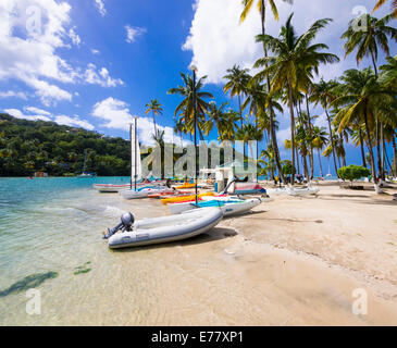 Palmiers sur la plage de sable fin dans la baie de Marigot, région de Castries, Sainte-Lucie, l'île de Petites Antilles, îles du Vent, Sainte-Lucie Banque D'Images