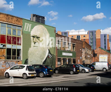 Avis de Sheffield et de Charles Darwin par Rocket01 et Faunagraphic sur bâtiment abandonné à Sheffield Banque D'Images