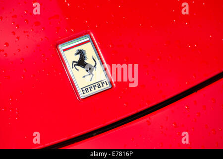 Logo ferrari sur le capot d'une voiture Ferrari rouge. Banque D'Images