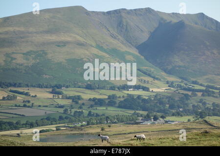 Blencathra Banque D'Images