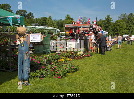 Marché pittoresques en plein air au pays avec des gens juste la navigation à travers les plantes et les étals de vêtements en journée ensoleillée, ciel bleu Banque D'Images