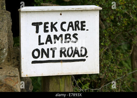 Hand written signature rurales de l'élevage sur avertissement road, avec une mauvaise orthographe par agriculteur de Cumbrie -Tek care.agneaux ont road. Banque D'Images