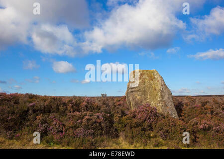 Paysage de montagne anglais avec une ancienne en pierre monolithe ou debout entouré par Heather fleurs sur le North York Moors Banque D'Images