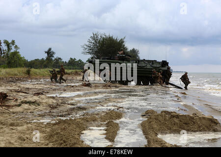 Marines avec Echo, l'entreprise Équipe de débarquement du bataillon du 2e Bataillon, 1er Marines, 11e Marine Expeditionary Unit, et des membres de l'armée malaisienne démonter les véhicules d'assaut amphibie et répondre à une simulation d'une embuscade lors d'Malaysia-United Membres suis Banque D'Images