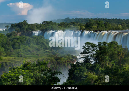 D'Iguazu, Argentine