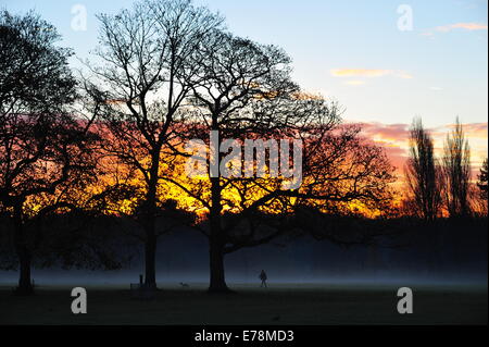 Tôt le matin, promenade avec le chien, Calderstones Park Banque D'Images