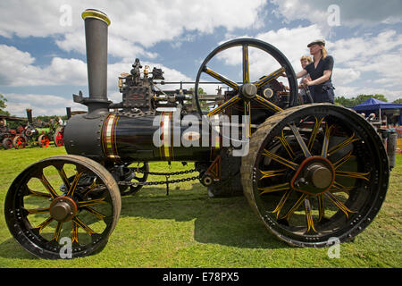 Traction à vapeur impeccablement restaurée avec peinture noir conduit par femme à English Country Fair. Banque D'Images