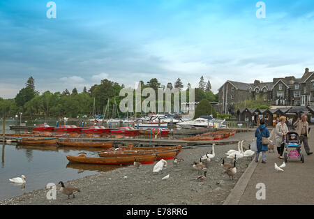 Windemere Lake, avec ses bateaux amarrés, cygnes sur la rive, et marcher le long de la famille à bord du Lake District, Cumbria England Banque D'Images