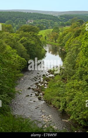 Vue du point de vue élevé de Français paysage rural et la rivière Wharfe trancheuse par Strid Woods sur vaste Bolton Abbey estate Banque D'Images