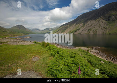 Lac Wastwater entourée de sommets de montagnes recouvertes de végétation verte, ciel bleu avec des nuages bas, Lake District, Cumbria England Banque D'Images