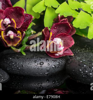 Beau spa de l'établissement orchid profond (phalaenopsis), branche verte fougère de pierres zen avec des gouttes et la réflexion sur l'eau Banque D'Images