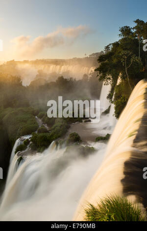 À l'aube d'Iguazu, Argentine Banque D'Images