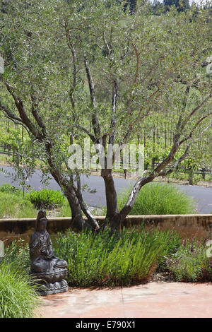 Maison privée, le Comté de Sonoma, United States. Architecte : l'architecte inconnu, 2009. Détail du jardin avec statue de Bouddha. Banque D'Images