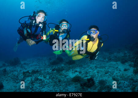 Groupe de plongeurs dans une barrière de corail, Queensland, Australie, Pacifique Banque D'Images