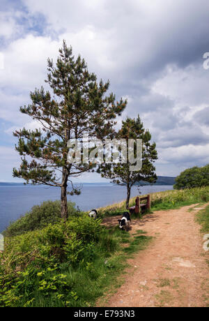 Sentier du littoral à King's Cave, Isle of arran (côte ouest) Banque D'Images