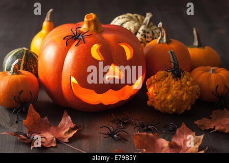 Jack O Lantern Halloween Pumpkin spiders Banque D'Images