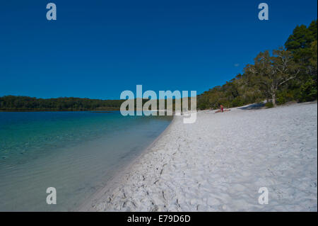 Le Lac McKenzie, Fraser Island, Queensland, Australie Banque D'Images