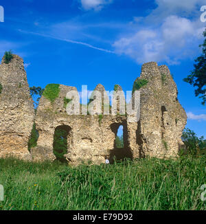 Les ruines de Odiham Castle Hampshire UK Banque D'Images