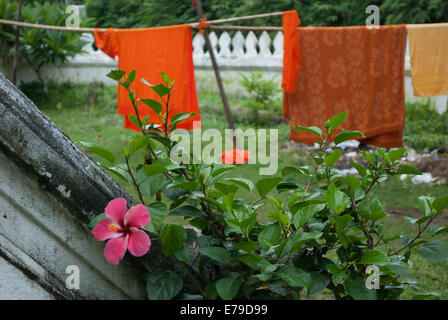 Robes des moines sur une ligne de séchage à Luang Prabang, Laos. Banque D'Images