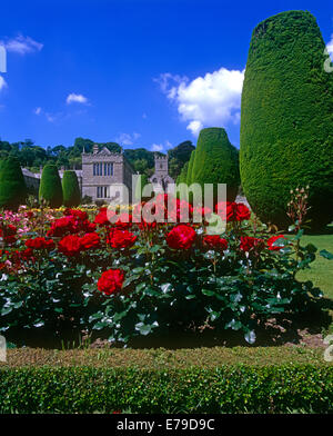 Lanhydrock Bodmin Cornwall Banque D'Images