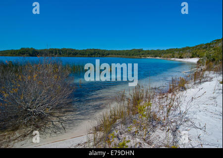 Le Lac McKenzie, Fraser Island, Queensland, Australie Banque D'Images