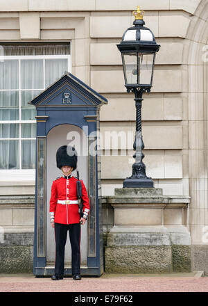 Guardsman du Queens la garde devant le palais de Buckingham, Londres, Angleterre, Royaume-Uni. Banque D'Images