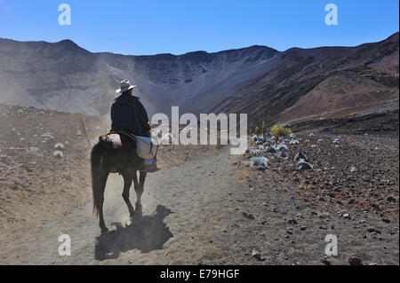 L'équitation dans le Cratère de Haleakala, le Parc National de Haleakala, l'île de Maui, Hawaii Islands, USA Banque D'Images