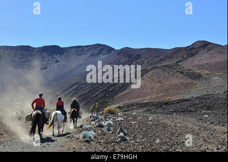 Les cavaliers trekking près du cratère de Haleakala, le Parc National de Haleakala, l'île de Maui, Hawaii Islands, USA Banque D'Images