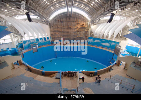 La piscine à l'aquarium, Vladivostok, en Extrême-Orient, l'Île Russky, Primorsky Krai, Russie Banque D'Images