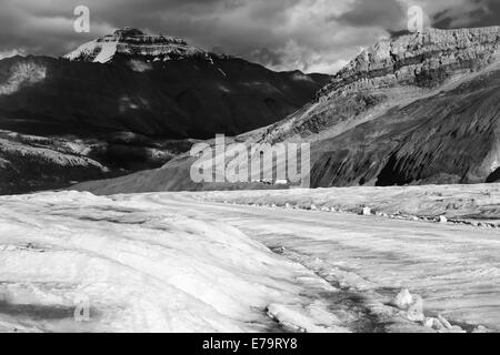 Bus - Bus route Athabasca itinéraire sur le glacier Athabasca en noir et blanc Banque D'Images