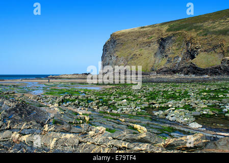 La plage rocheuse à Crackington Haven à North Cornwall, UK Banque D'Images